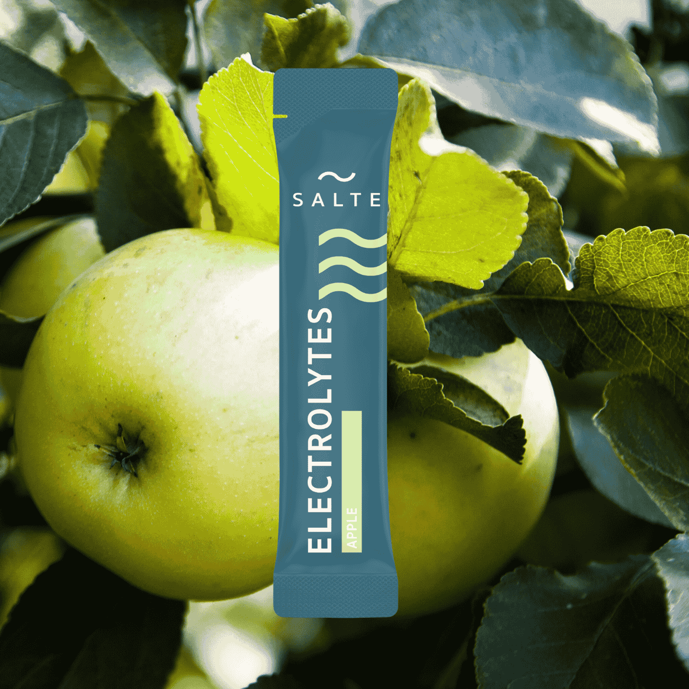 Apfel - 30er-Pack