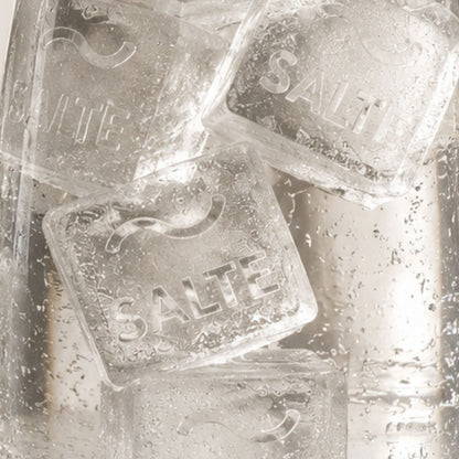 Eiswürfelschale